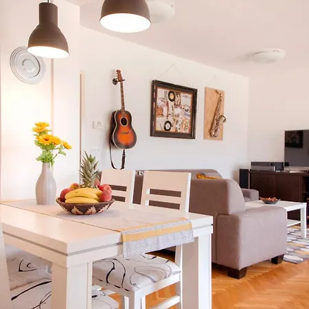 Musical Paradise Baltazar Zara